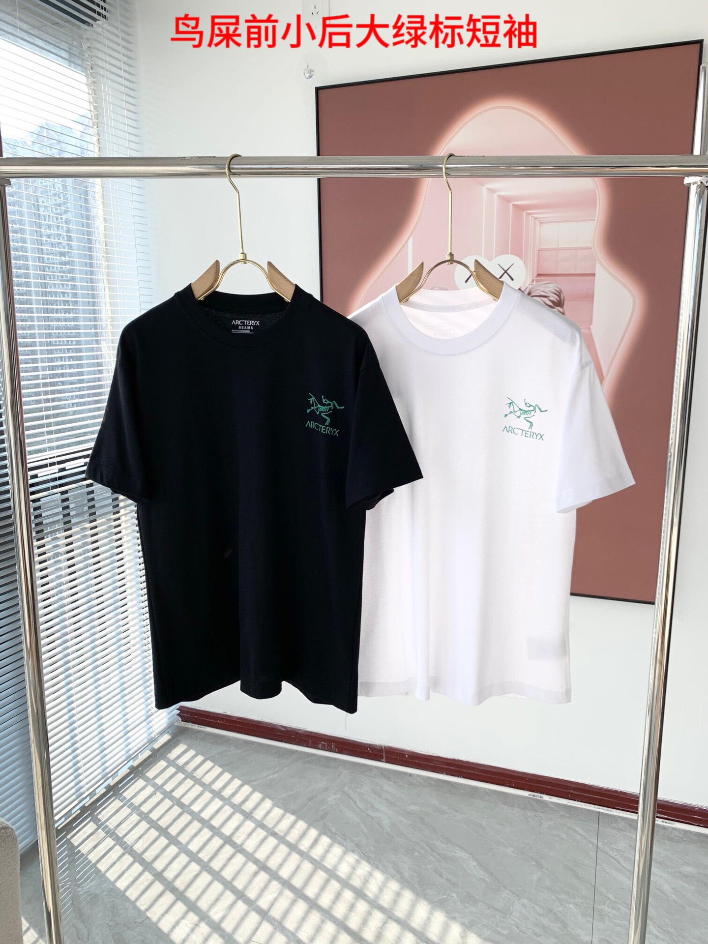 鸟屎前小后大绿标短袖始祖鸟 2023春夏男女同款情侣款最新的贸易订单短袖T恤，全品相！！网红款！采用logo图案压胶设计！上身舒适透气，不僵硬，整体有着丰富的